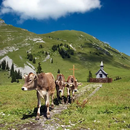 Moosmann Appartamento